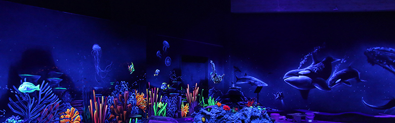 aquarium blacklight